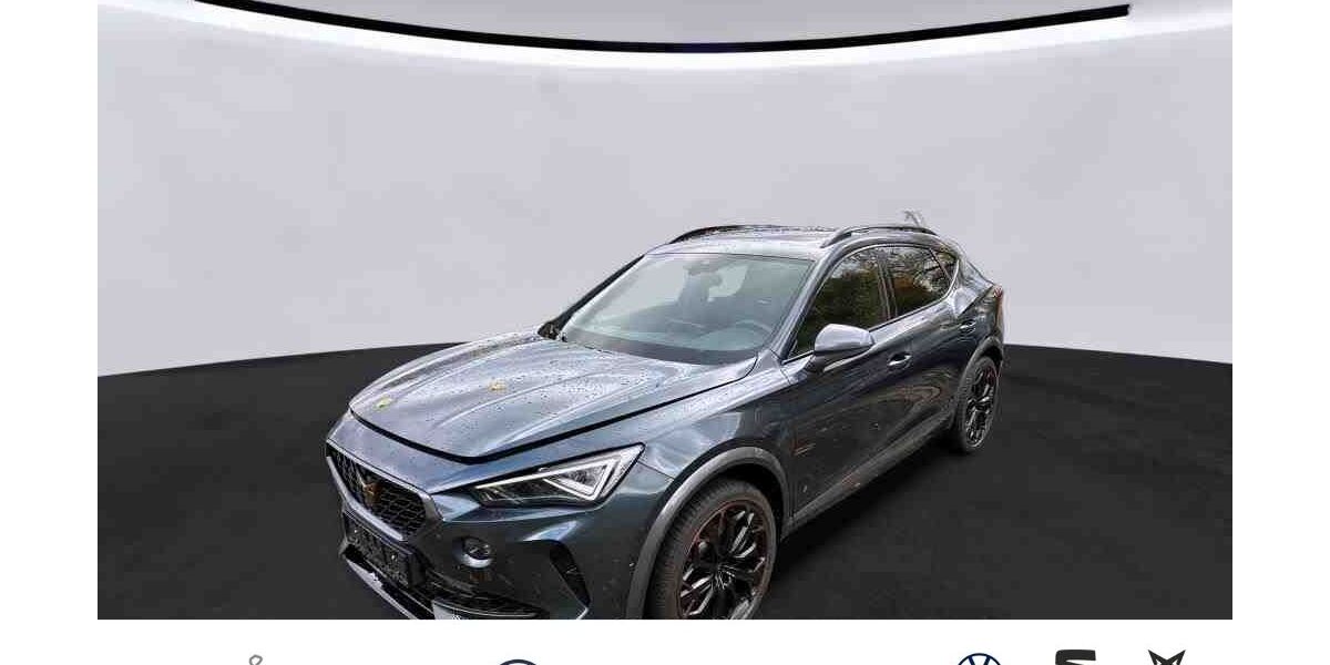 Cupra Formentor 22.422 km 33.950 &euro; Langenfeld 40764