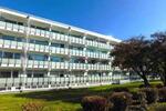 Etagenwohnung Wesseling - 2 Zimmer, 55 m&sup2;, 703&euro; | Angebot:25996613