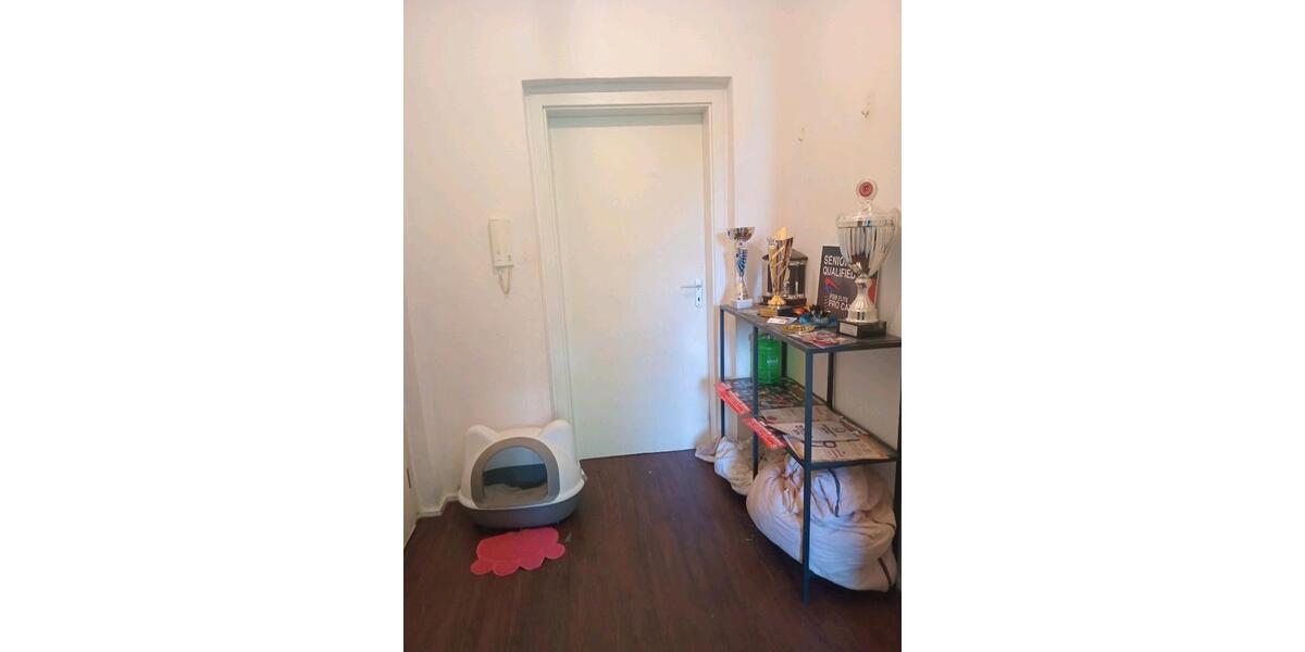 1 Zimmer WG (+Balkon, Küche, Bad, Garten) 1 zimmer