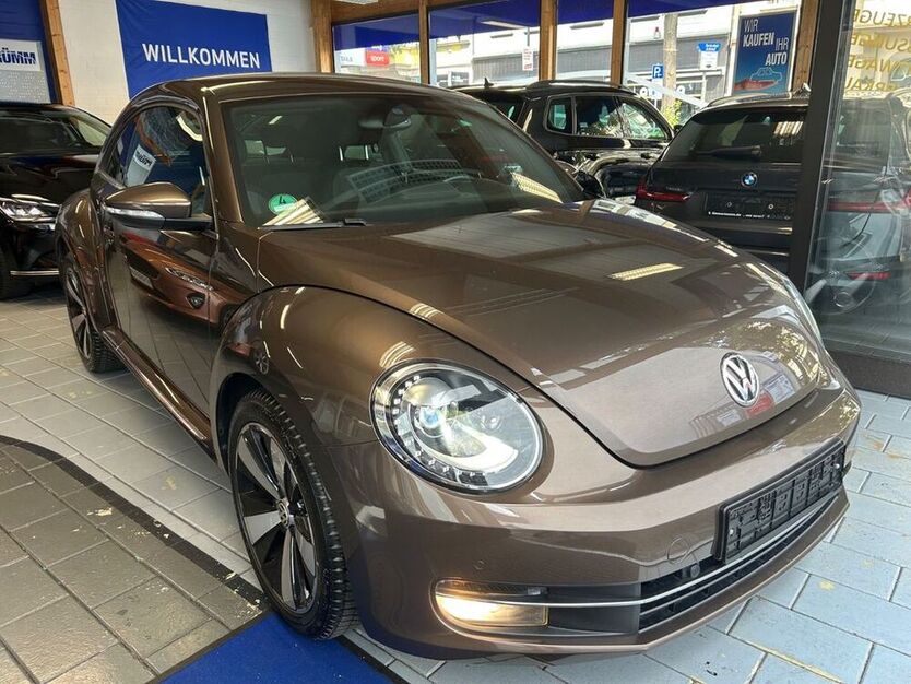 Beetle