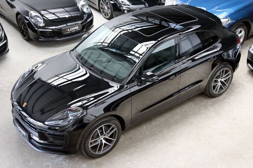 Macan