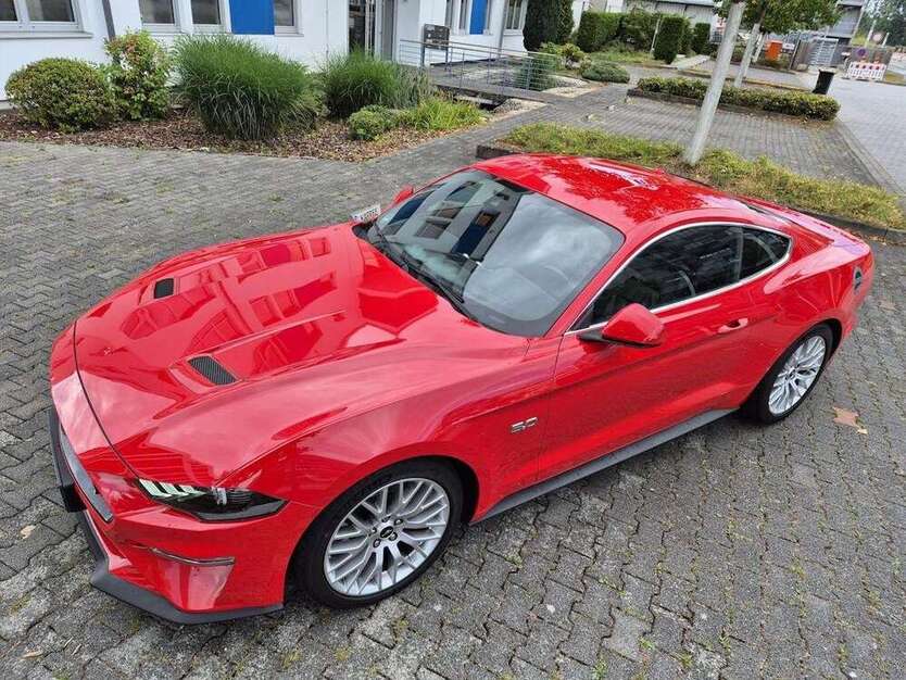 Mustang