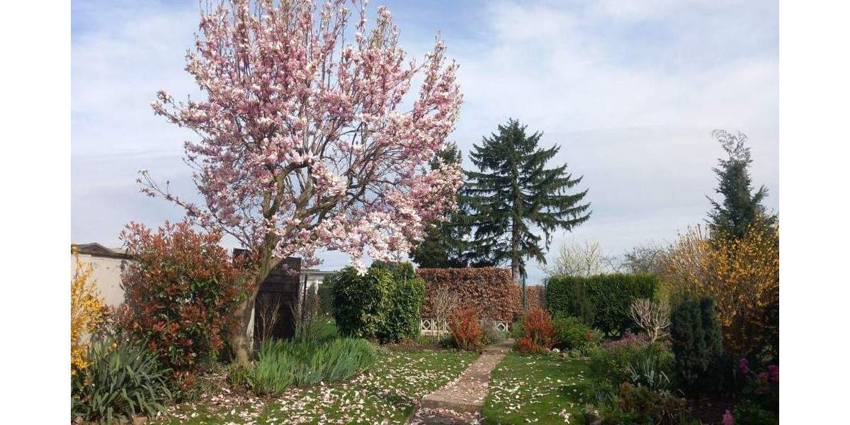 schönes, ruhig gelegenes Einfamilienhaus mit großem Garten zu verkaufen! 7 zimmer