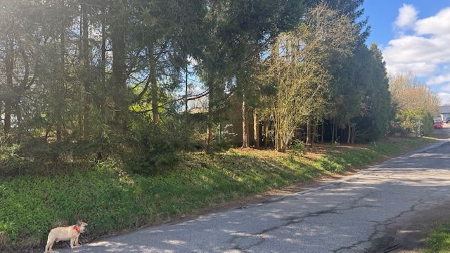 Provisionsfrei* Privatverkauf: Exklusives Luxus-Villen-Grundstück mit traumhaften Fernblick zimmer