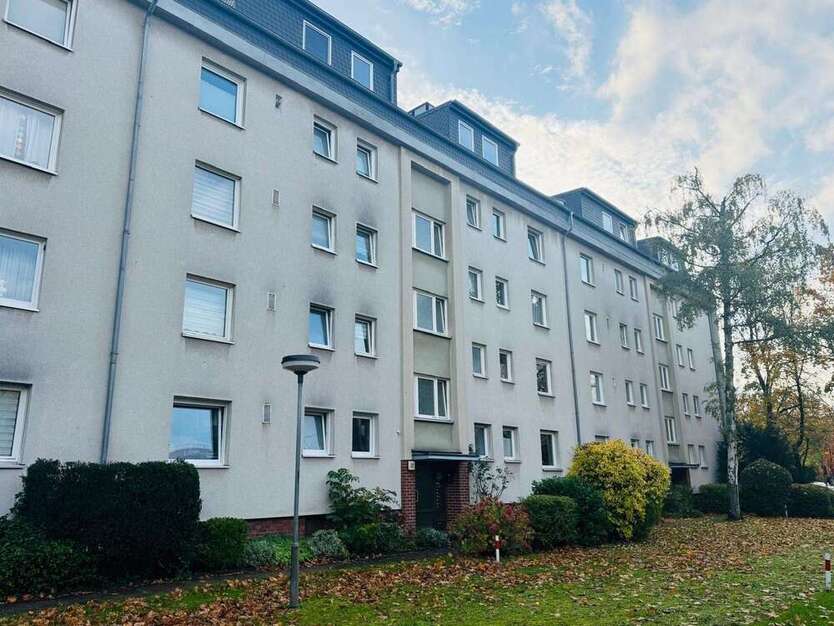 Wohnung zum Mieten in Düsseldorf 856,80 € 72 m² 3 zimmer