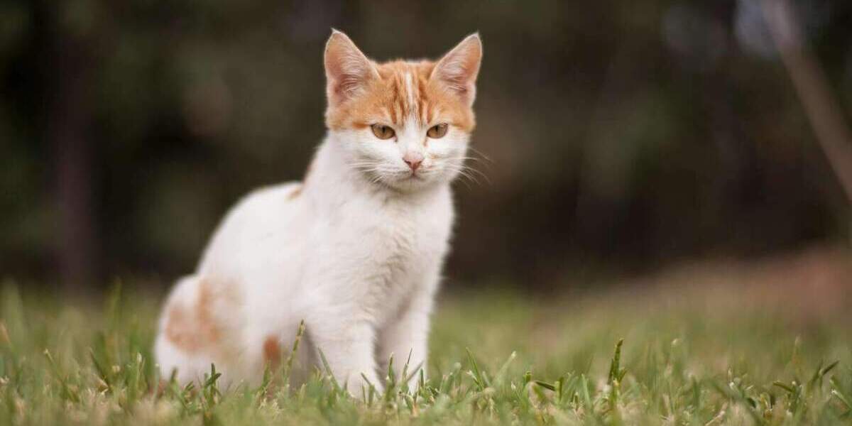 Eigenleistung macht den Unterschied - bei massa | massa haus 5 zimmer