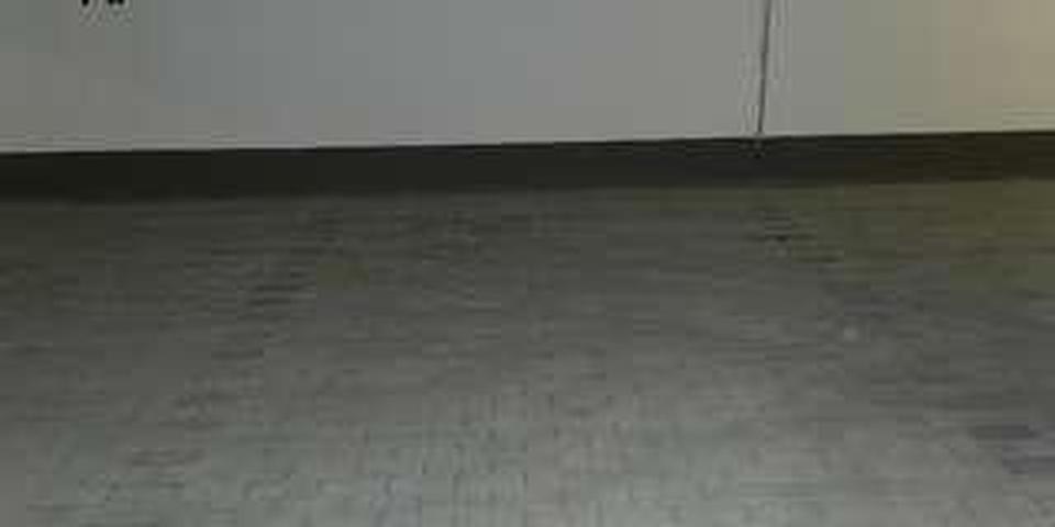 Wohnen am Vorgebirgspark- Marienhof 51m² 2 Sonnenbalkone 2 zimmer