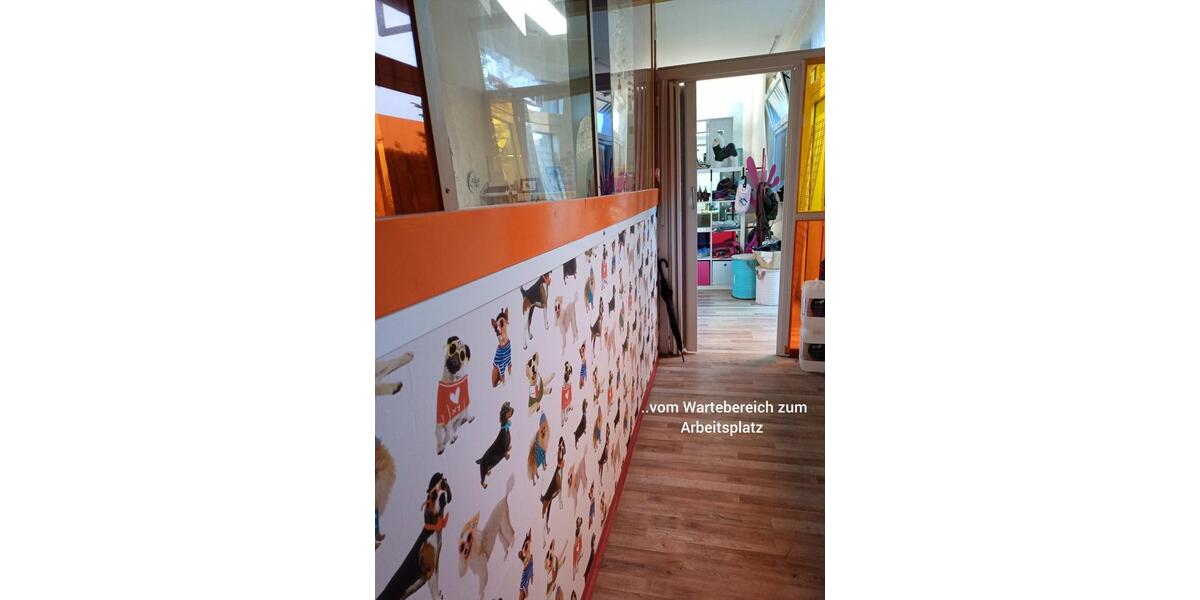 Hundesalon in Kürten zur Übernahme zimmer