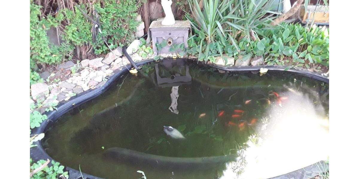 Mehrfamilienhaus, Wohnhaus Kerpen Horrem - 8 Zimmer, 170 m&sup2;, 529.000&euro; | Angebot:25479042