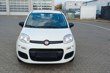 Fiat Panda 46.500 km 6.900 &euro; Erftstadt 50374