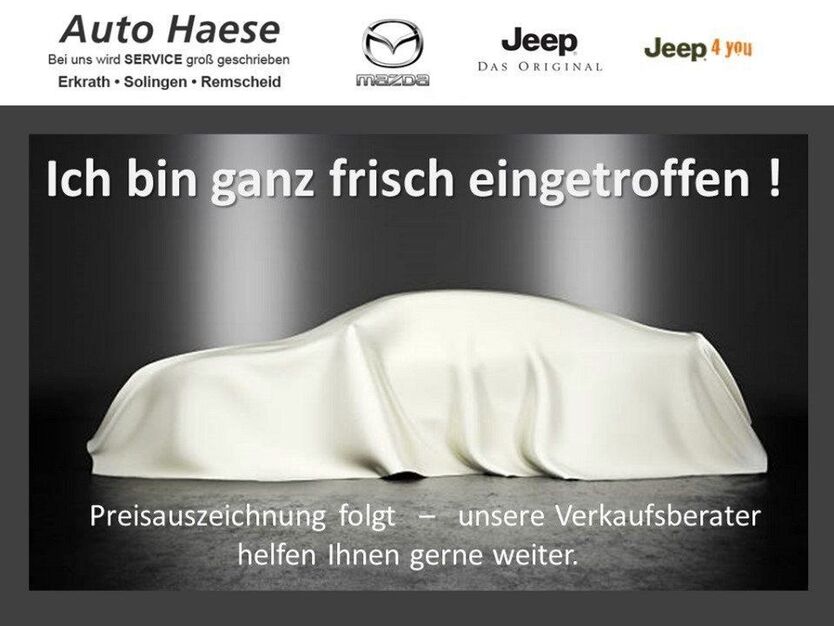 Golf Sportsvan