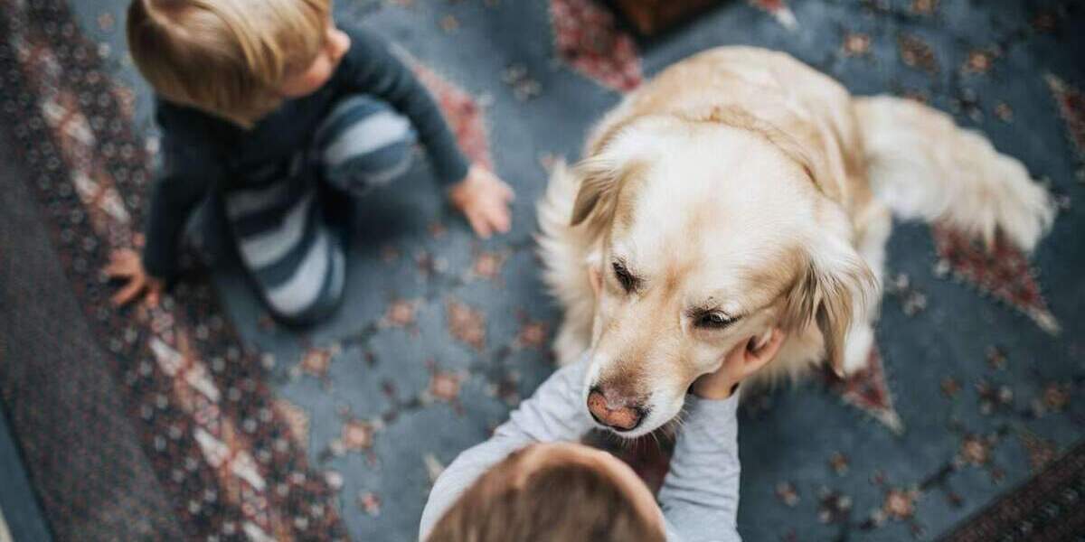 Einfamilienhaus Erftstadt Bliesheim - 6 Zimmer, 123 m&sup2;, 499.520&euro; | Angebot:24855506