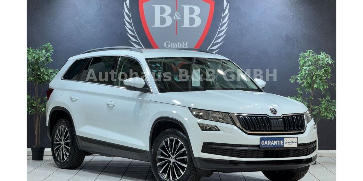Skoda Kodiaq 189.000 km 14.990 &euro; Bergheim 50126