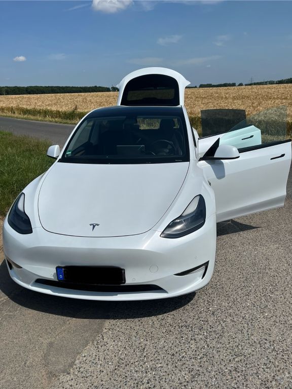 Model Y