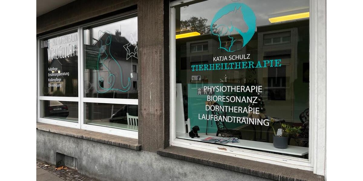 Untervermietung Ladenlokal tageweise in Lev. Opladen zimmer