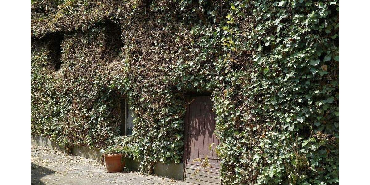 historisches Fachwerkhaus im alten Ortskern von Düsseldorf - Urdenbach 4 zimmer