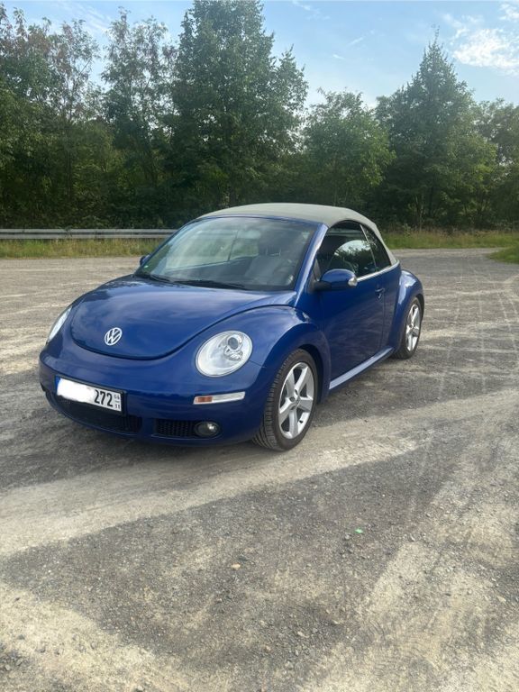 Beetle