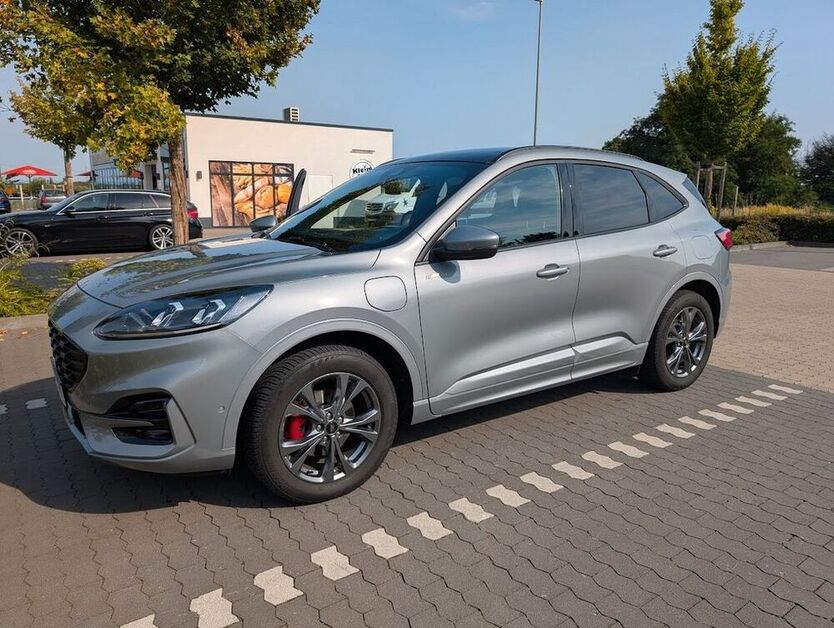 Kuga