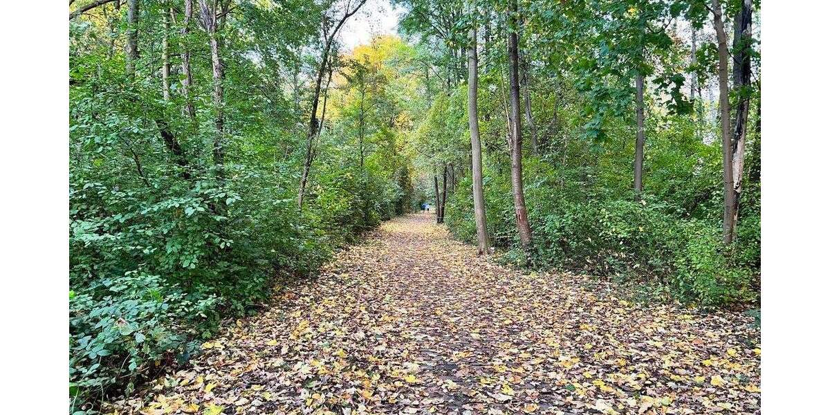 ... und vom Balkon die 