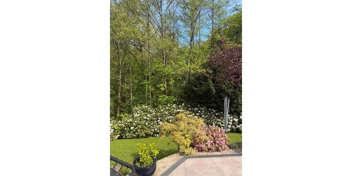 Erdgeschoßwohnung Solingen Wald - 3 Zimmer, 76 m&sup2;, 1.400&euro; | Angebot:26326002