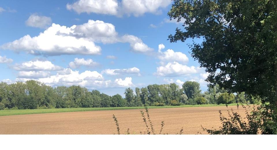 Preissturz! Sehr ruhiges und schönes Apartment in NE-Weckhoven 1 zimmer