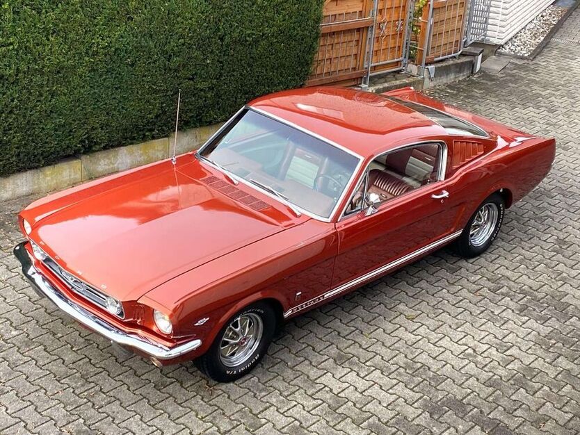 Mustang