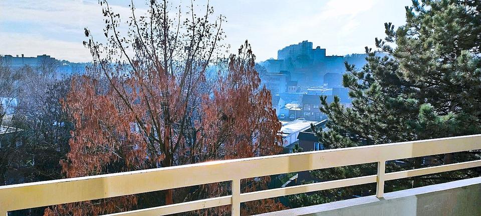 Renovierte 4-Zimmer-Wohnung mit Balkon & Aufzug – EBK, 6. OG, Fre 4 zimmer