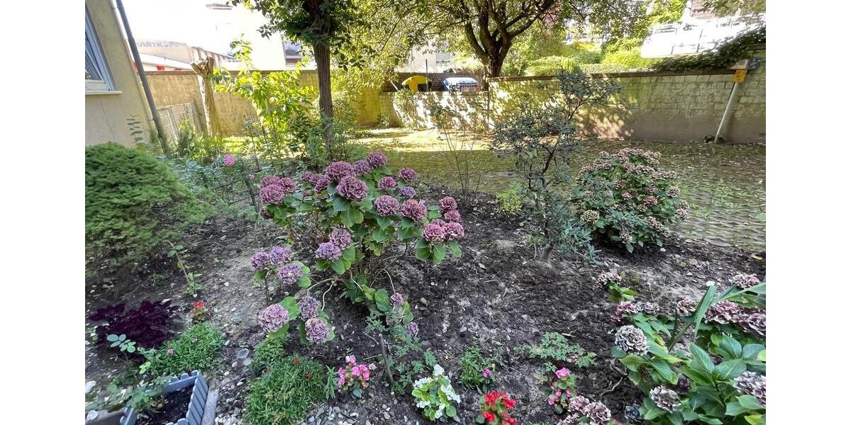 Etagenwohnung Solingen Burg - 2.5 Zimmer, 57 m&sup2;, 283&euro; | Angebot:25126951