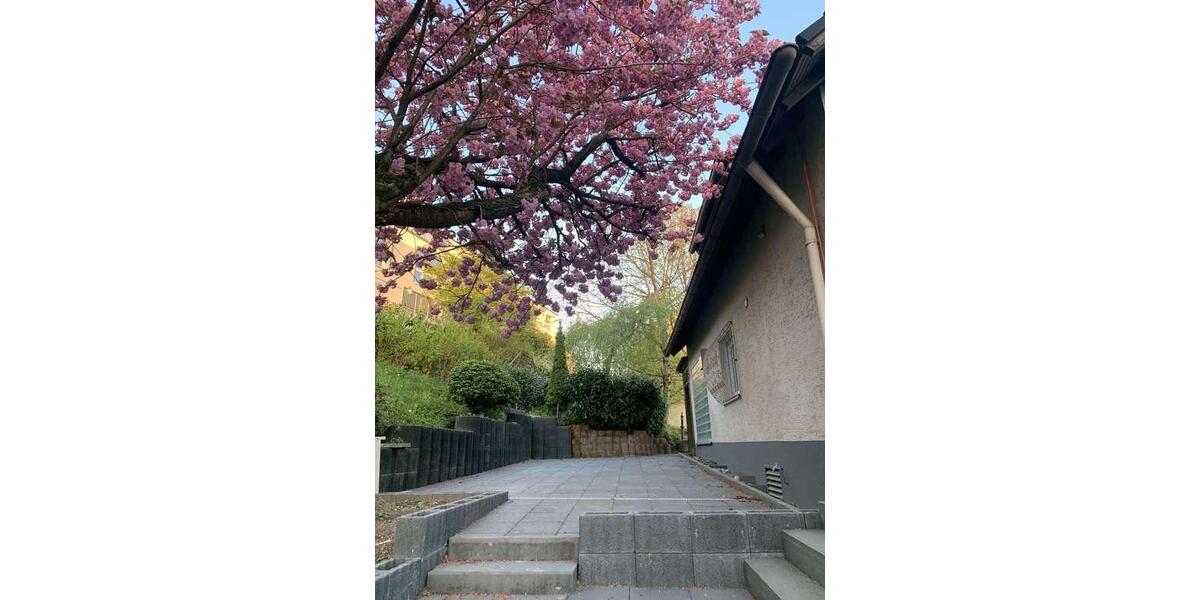 Freist. Einfamilienhaus Haus m. Schwimmbad u. Sauna zu vermieten 6 zimmer