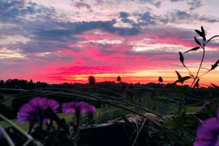 Einfamilienhaus mit Einliegerwohnung zimmer