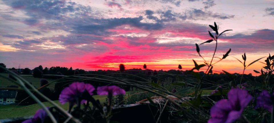 Einfamilienhaus mit Einliegerwohnung zimmer