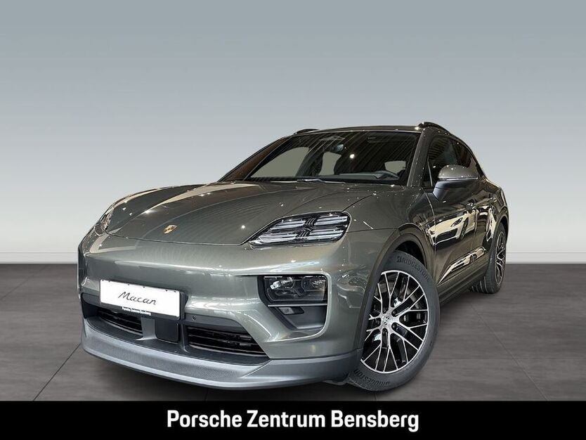 Macan