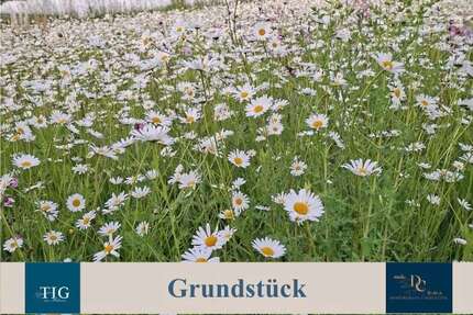 Grundstück Lindlar - 180.000&euro; | Angebot:27298443