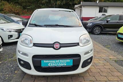 Fiat Panda 97.624 km 5.790 &euro; Bergheim-Niederaußem 50129