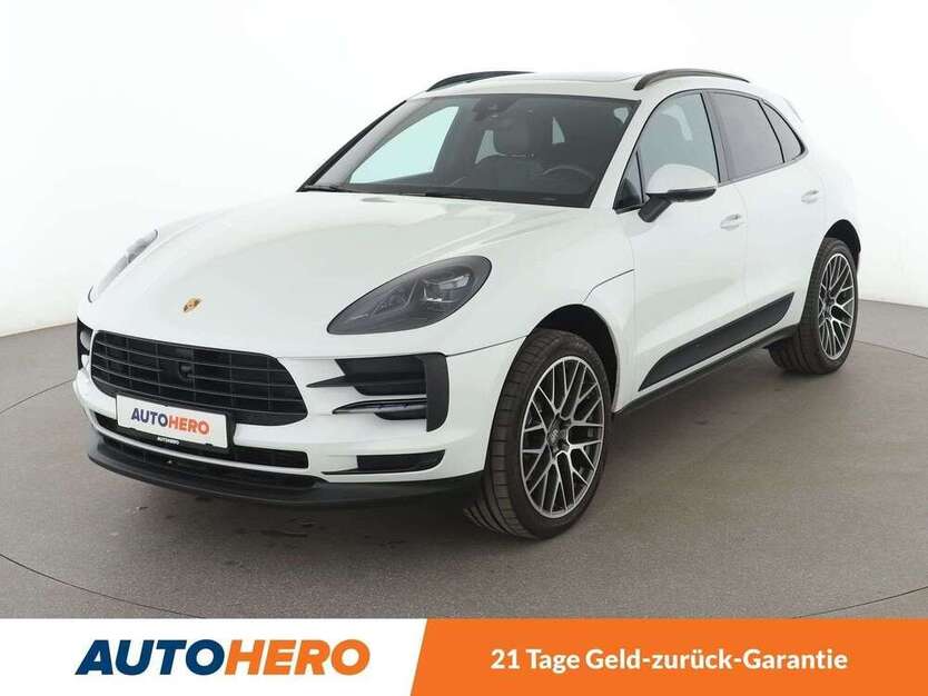 Macan