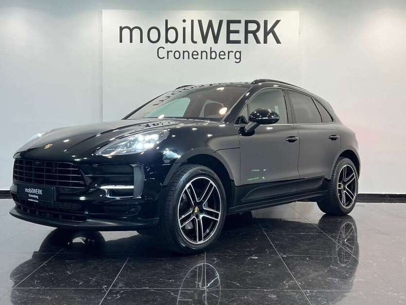 Macan