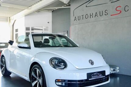 VW Beetle