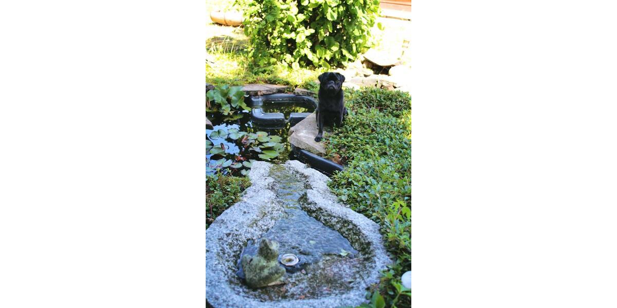 Bungalow Köln Rodenkirchen - 3 Zimmer, 95 m&sup2;, 299.000&euro; | Angebot:26291779