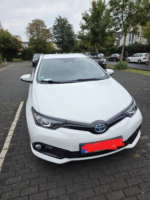 Auris