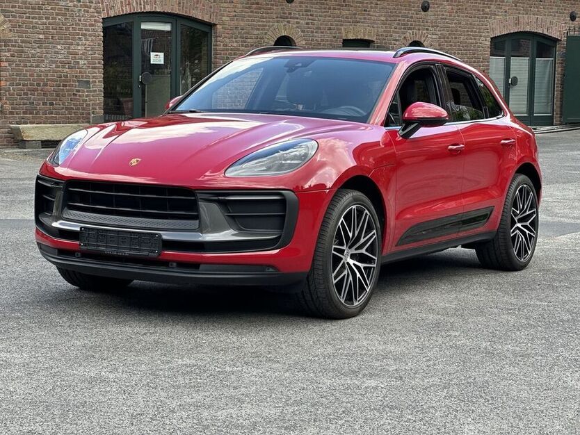 Macan