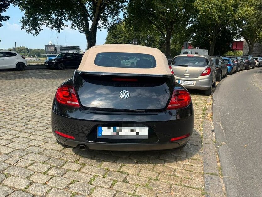 Beetle