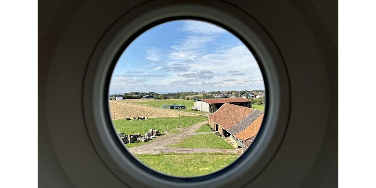 Exklusives saniertes Einfamilienhaus mit Terrasse im historischen „Haus Freiheit“! 5 zimmer