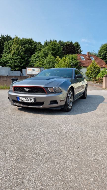 Mustang