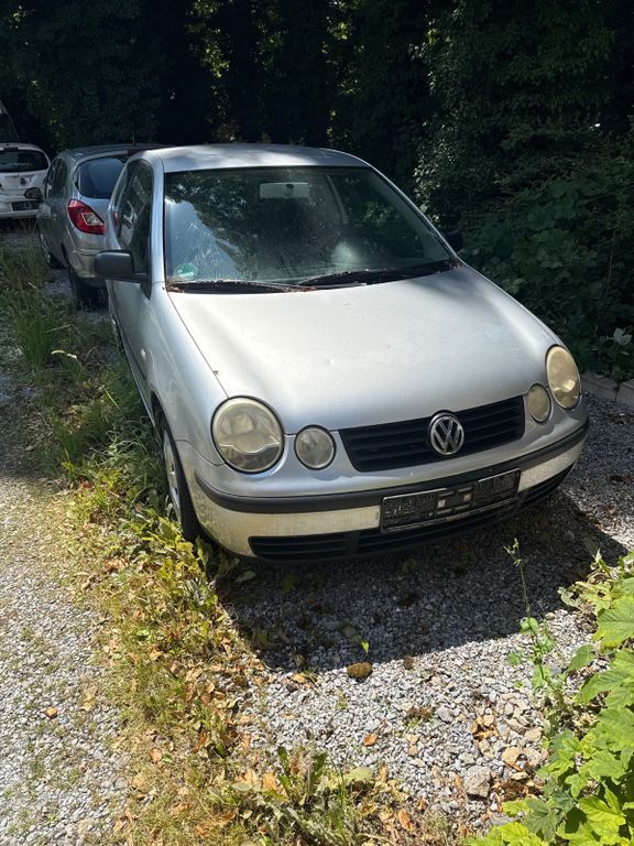 Polo