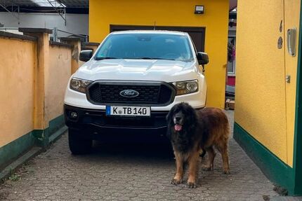 Ford Ranger 45.600 km 27.000 &euro; Köln 51147