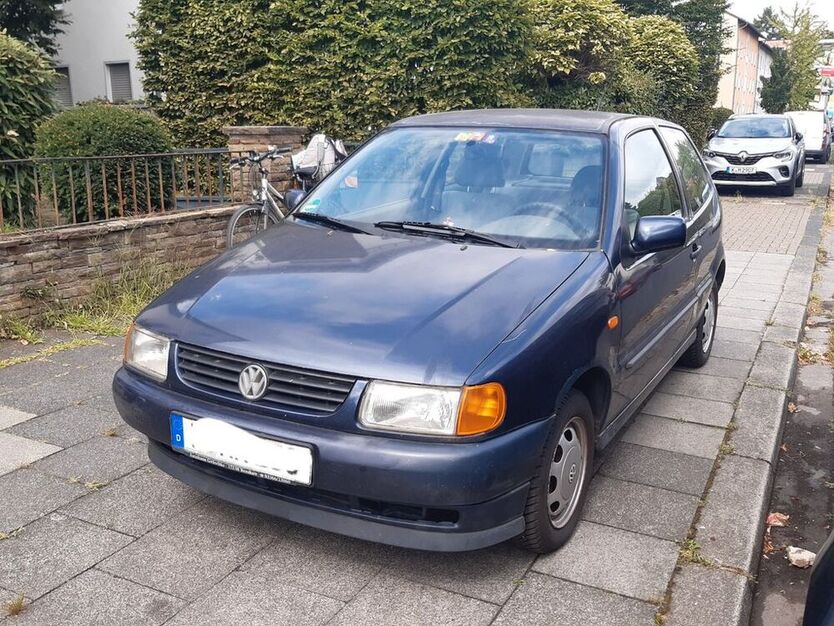 Polo