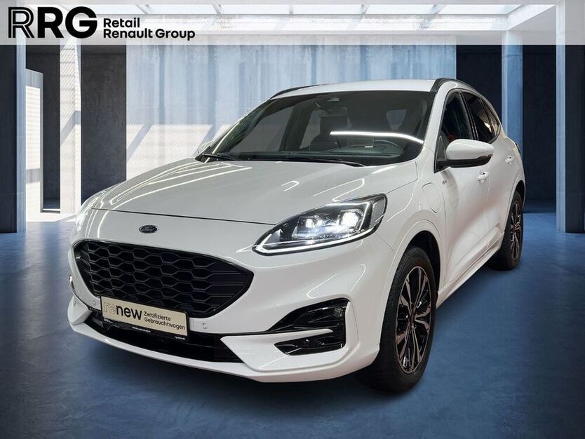 Kuga