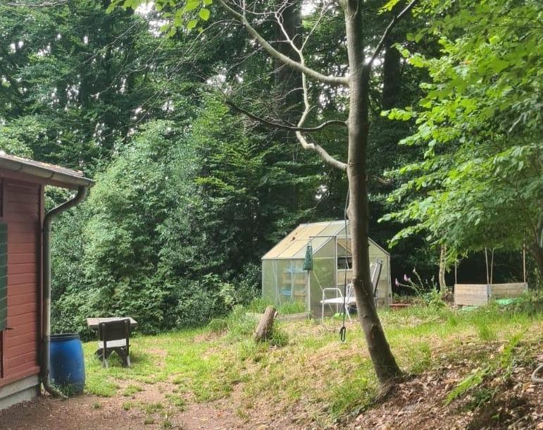Mitnutzen und -wirken eines Waldhauses bei Overath