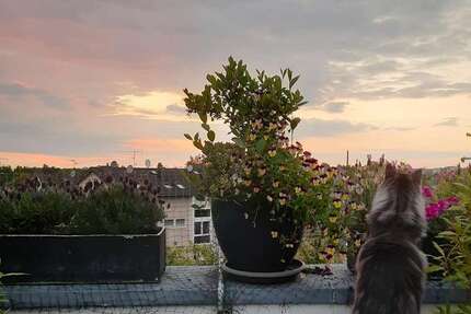 Wohnung Bergisch Gladbach Gronau - 7 Zimmer, 192 m&sup2;, 710.000&euro; | Angebot:25373149