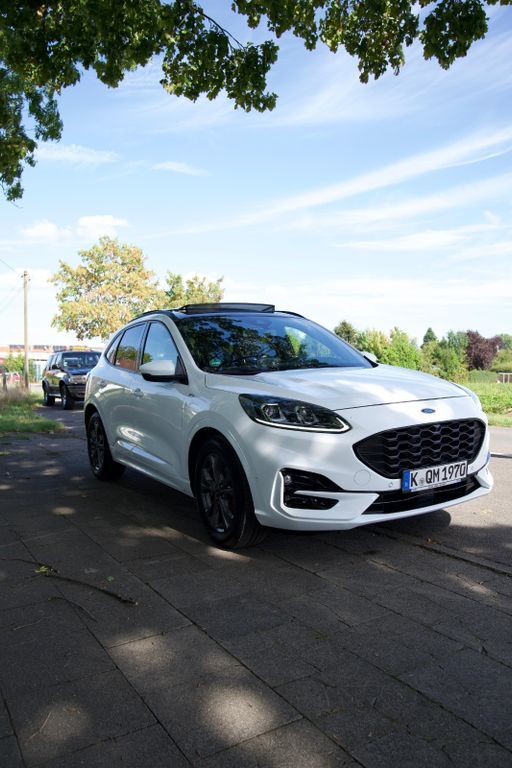 Kuga